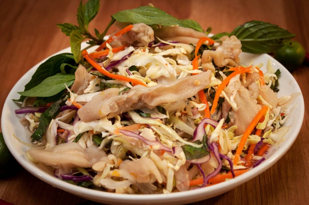 Vietnamese Chicken and Mint Salad