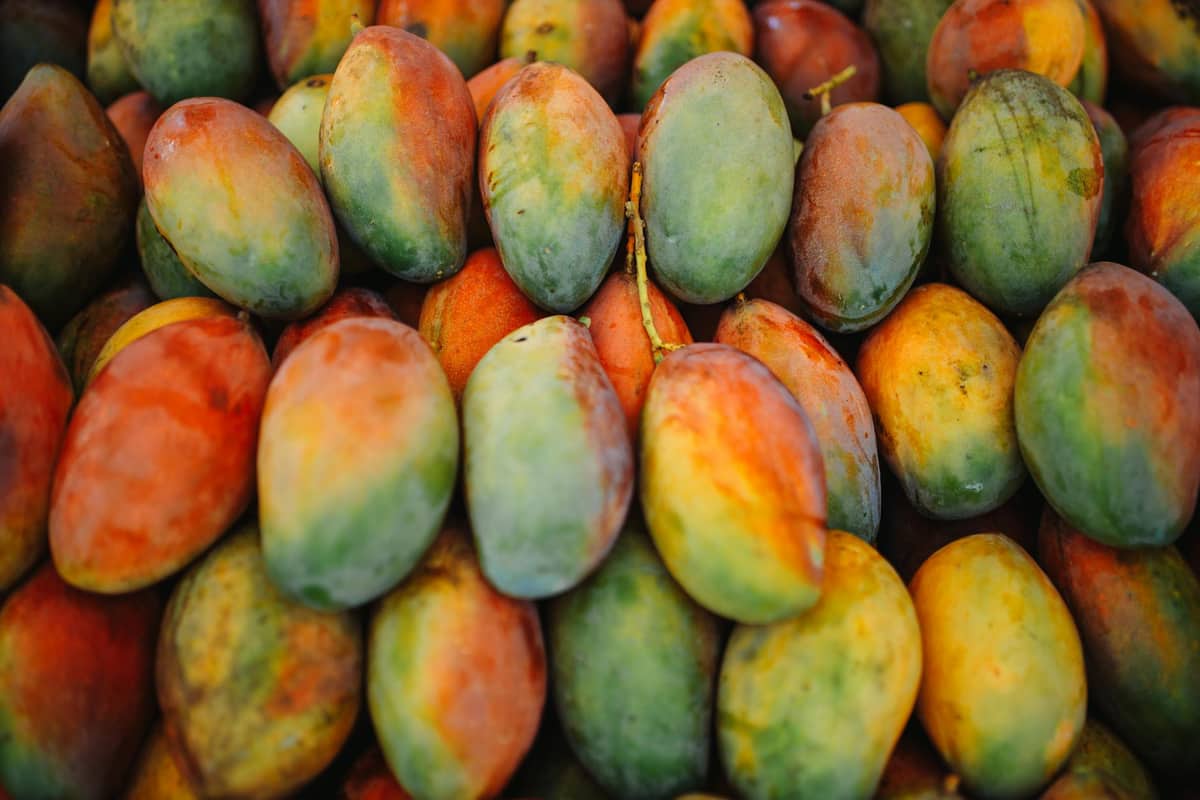Mango Chutney (BEST EVER!)