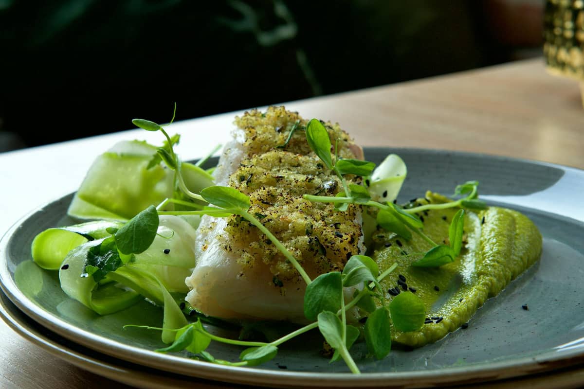 Miso Cod